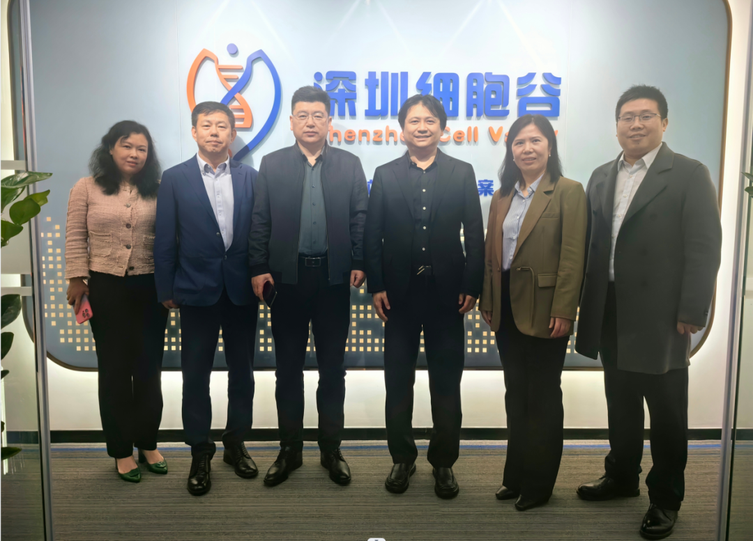 河南科技大学第二附属医院院长邢建武、副院长王慧睿一行莅临深圳乐天堂fun88交流访问