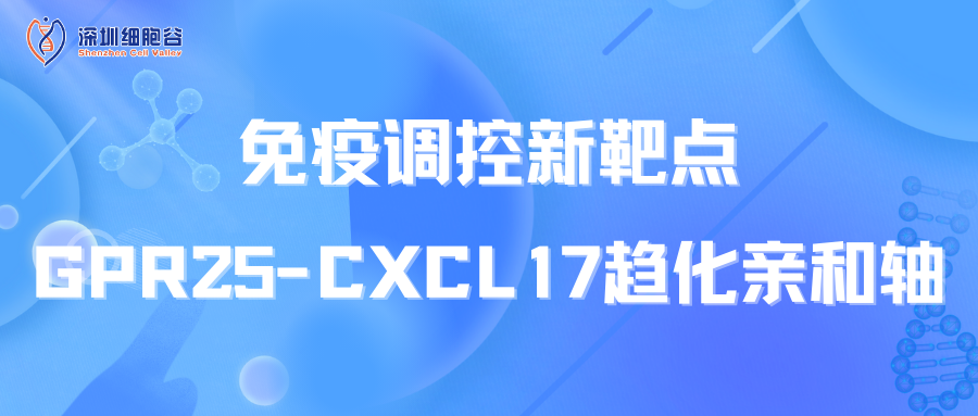 免疫调控新靶点：GPR25-CXCL17趋化亲和轴